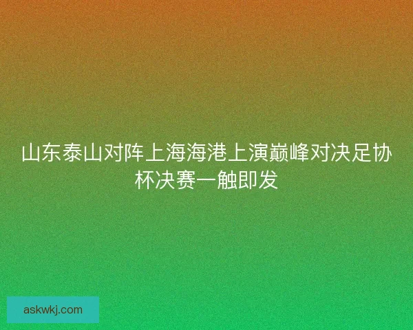 山东泰山对阵上海海港上演巅峰对决足协杯决赛一触即发